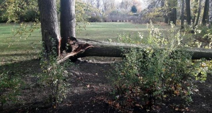 43_stom park.jpg